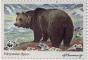 Brown Bear (Ursus arctos), Härjedalen